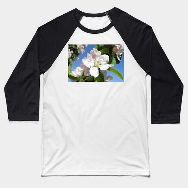 Apple Blossom Baseball T-Shirt by AH64D